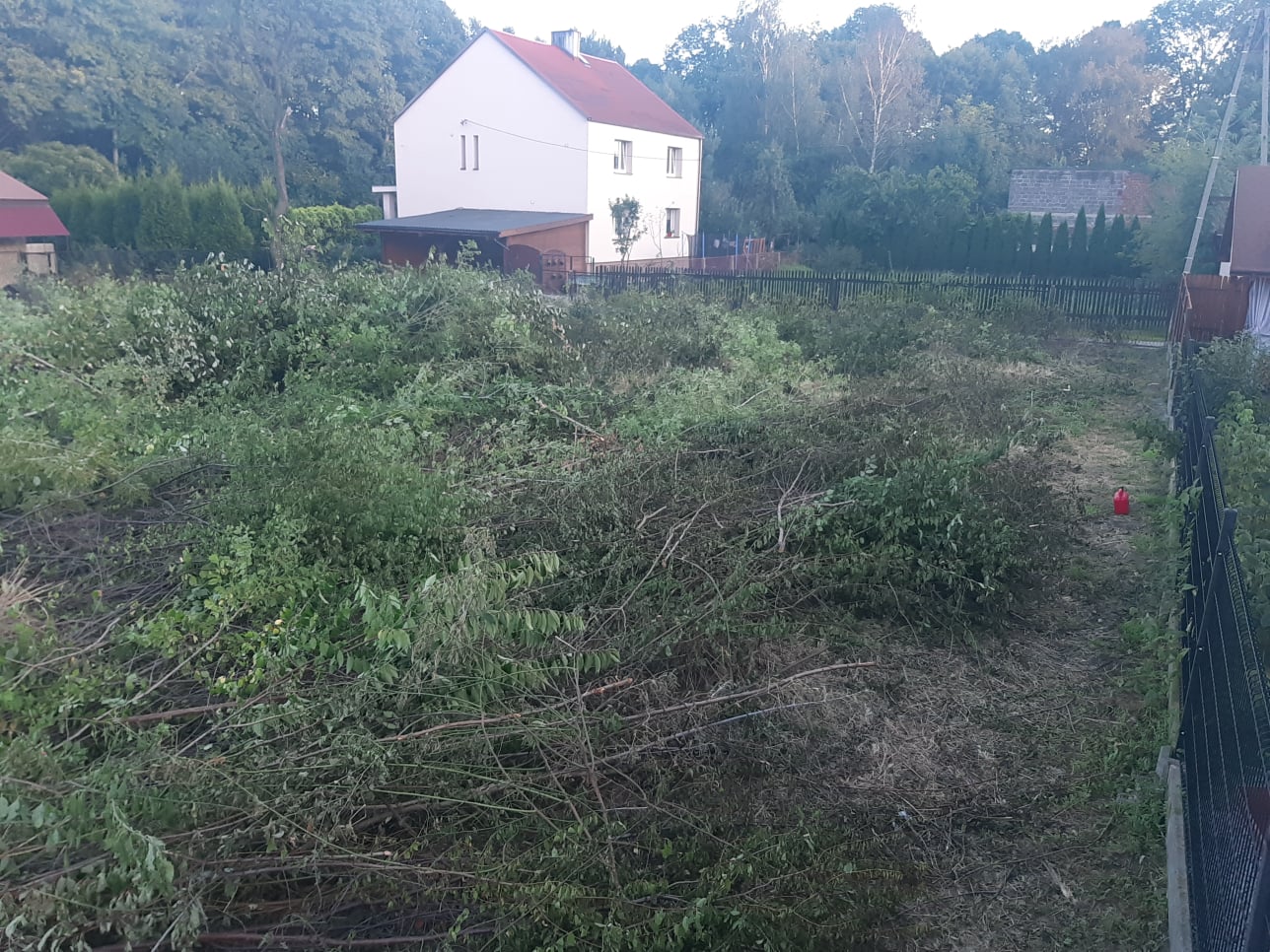 Karczowanie, oczyszczanie działek