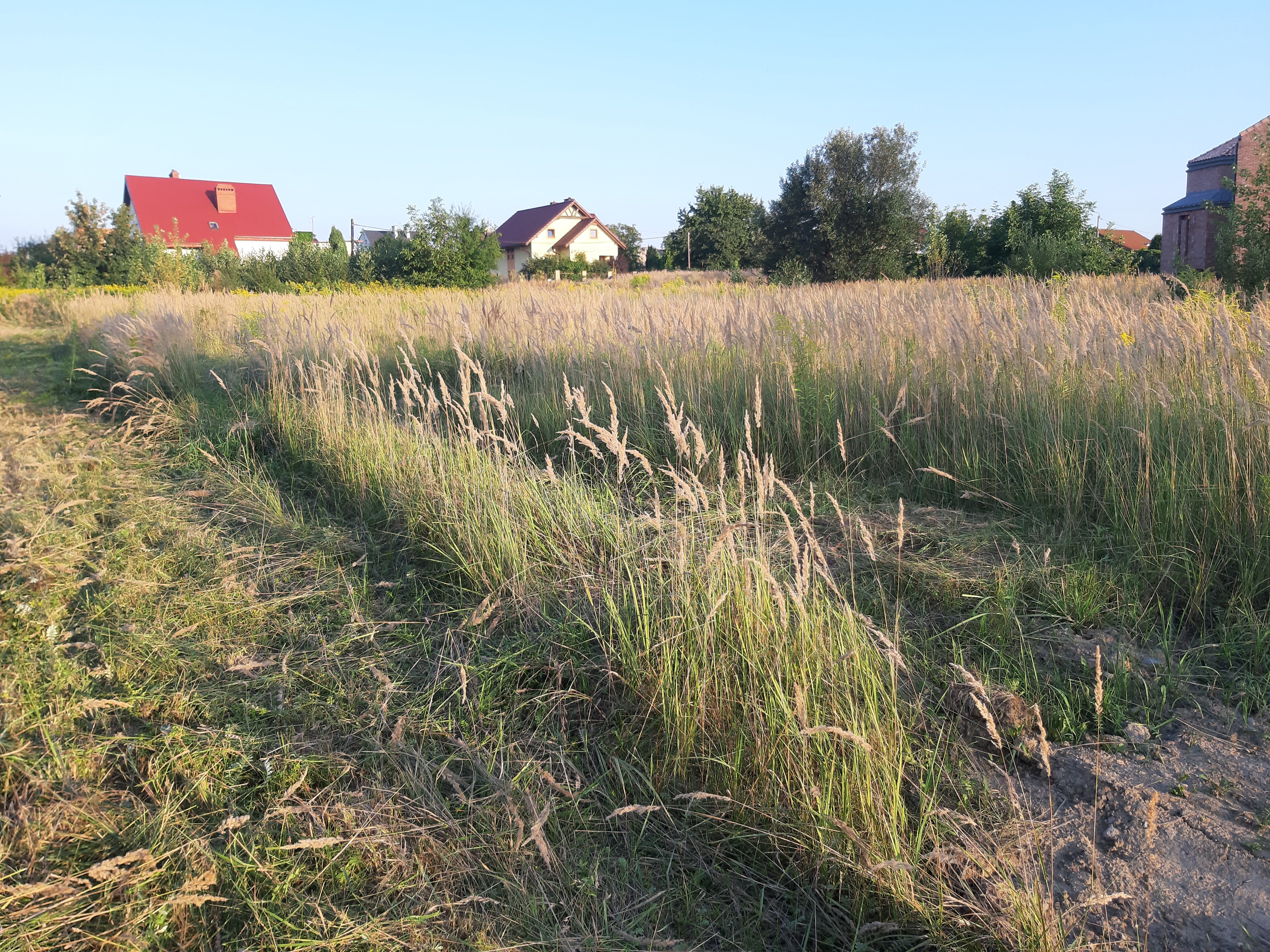 Usługi koszenia - wysoka trawa