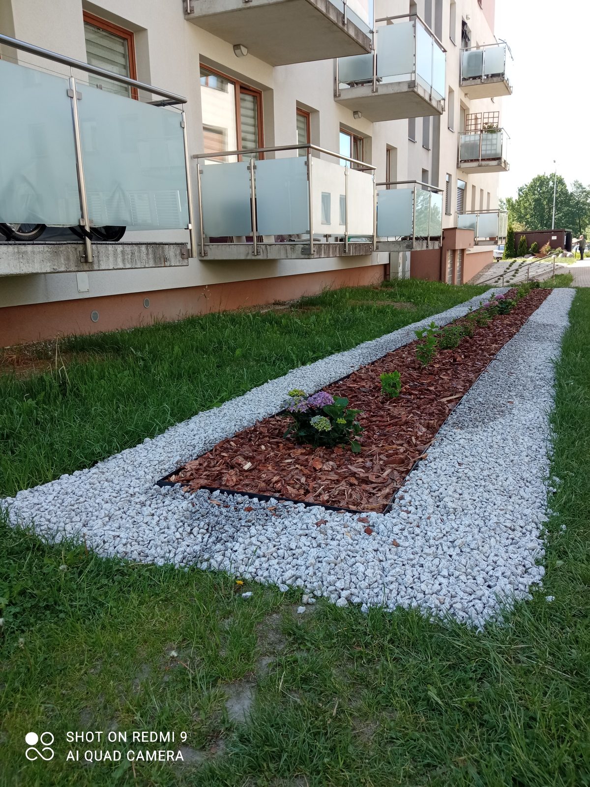 Gotowa rabata ozdobna z białym żwirem i nasadzeniami