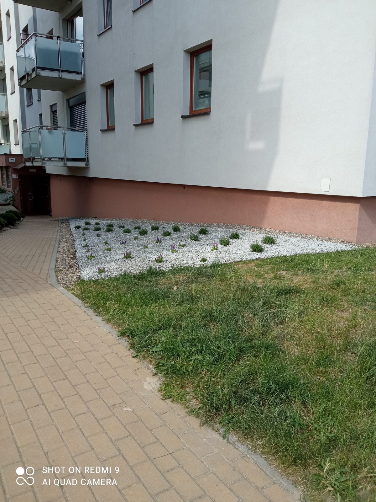 Estetyczna rabata po założeniu - nasadzenia i kora ozdobna