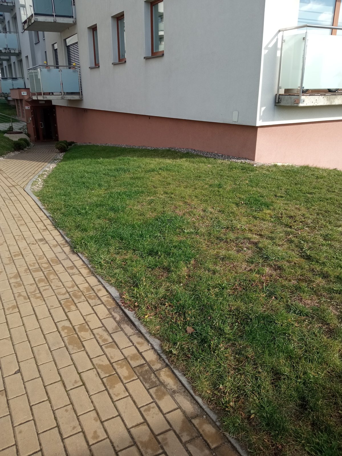 Miejsce pod nową rabatę przed pracami ogrodniczymi